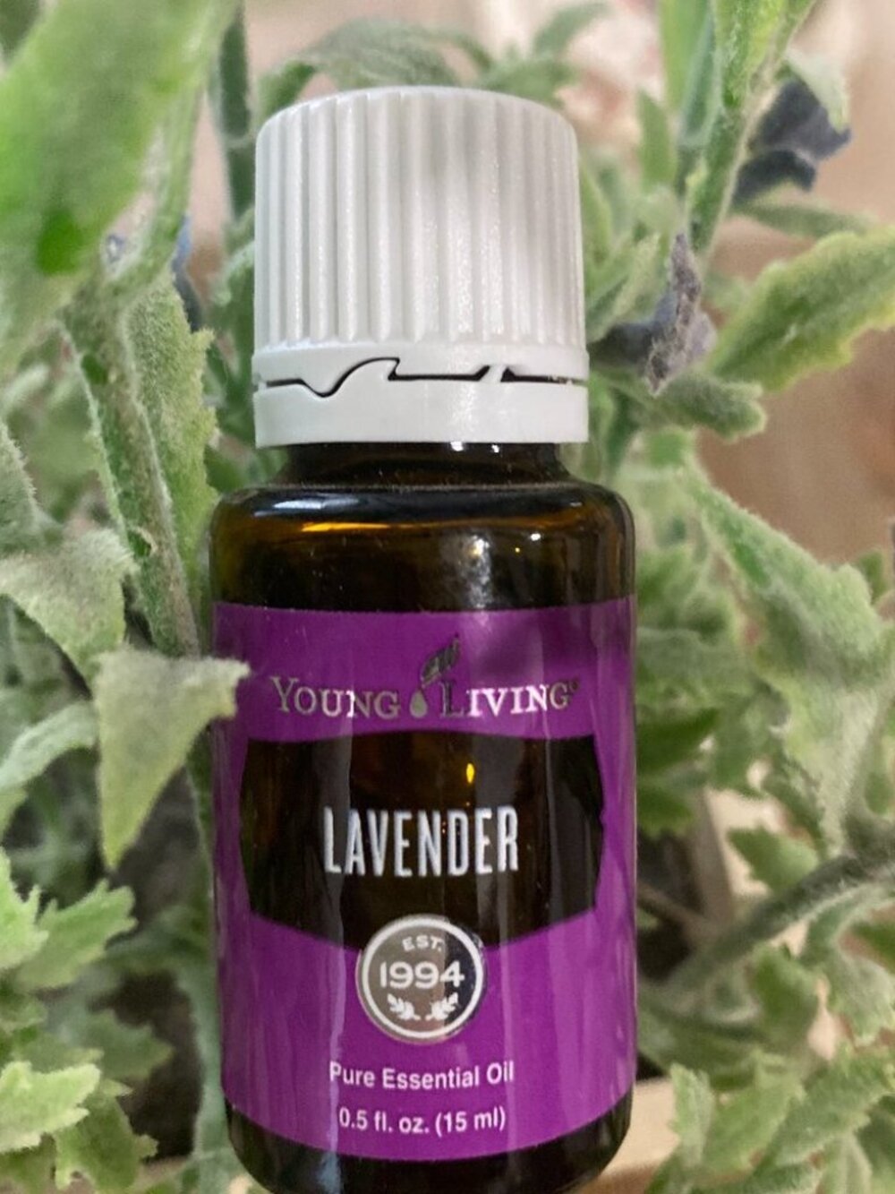 Young Living lavender essential oil